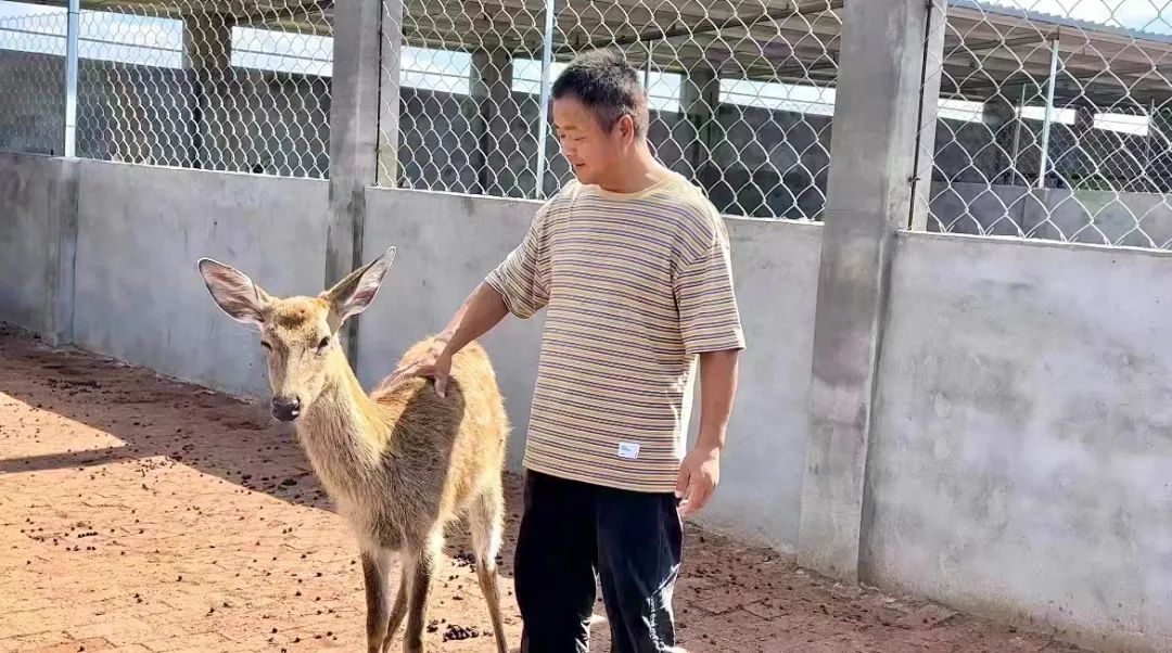 bb幸运熊猫投注软件